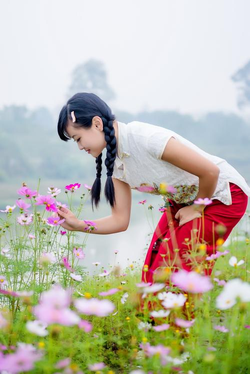 丁香花在线电影小说